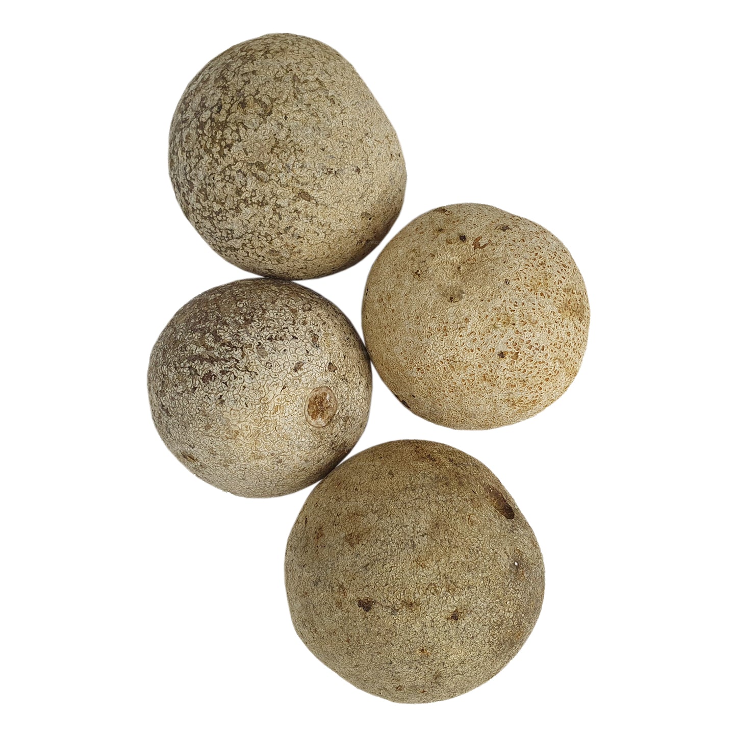 Jabłko z drewna Lakpura