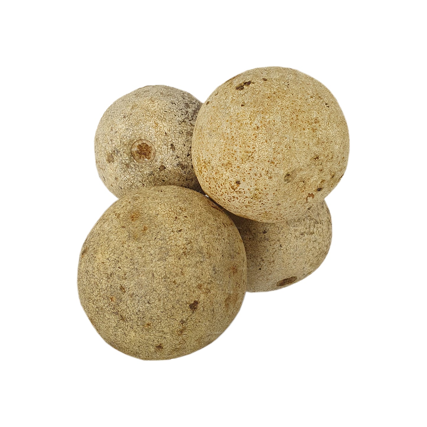 Jabłko z drewna Lakpura