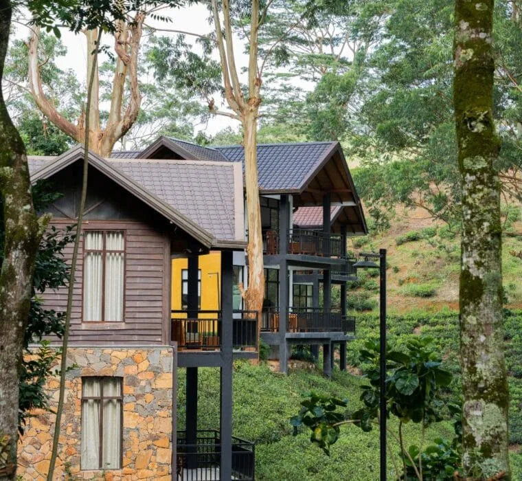 The Farm Resorts, Dikoya, Hatton