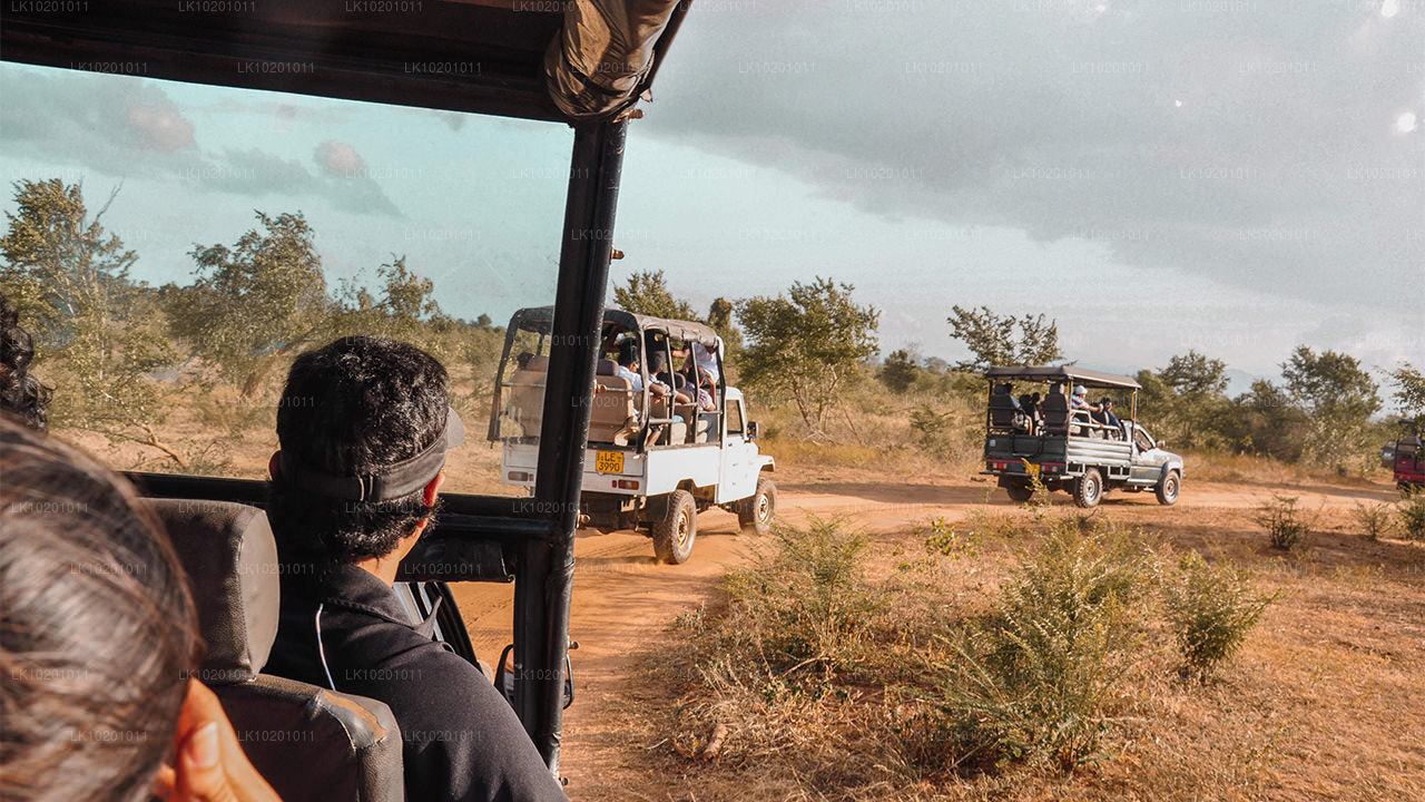 Udawalawe i Galle z Kolombo (2 dni)