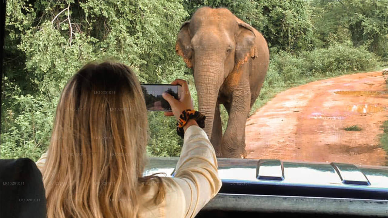 Udawalawe i Galle z Kolombo (2 dni)