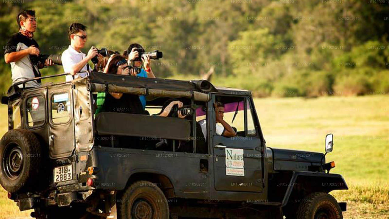 Sigirya i Minneriya z Kolombo (2 dni)