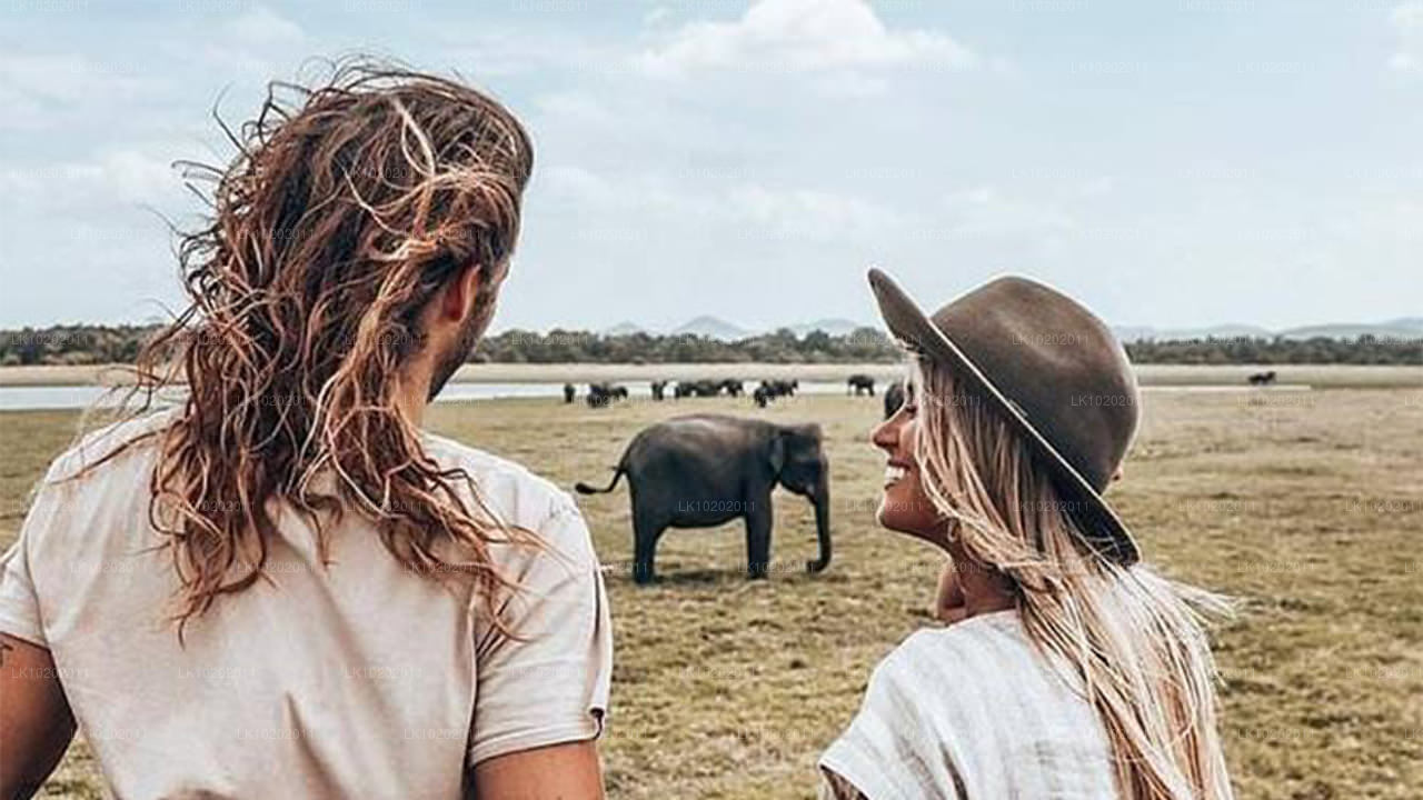Sigirya i Minneriya z Kolombo (2 dni)