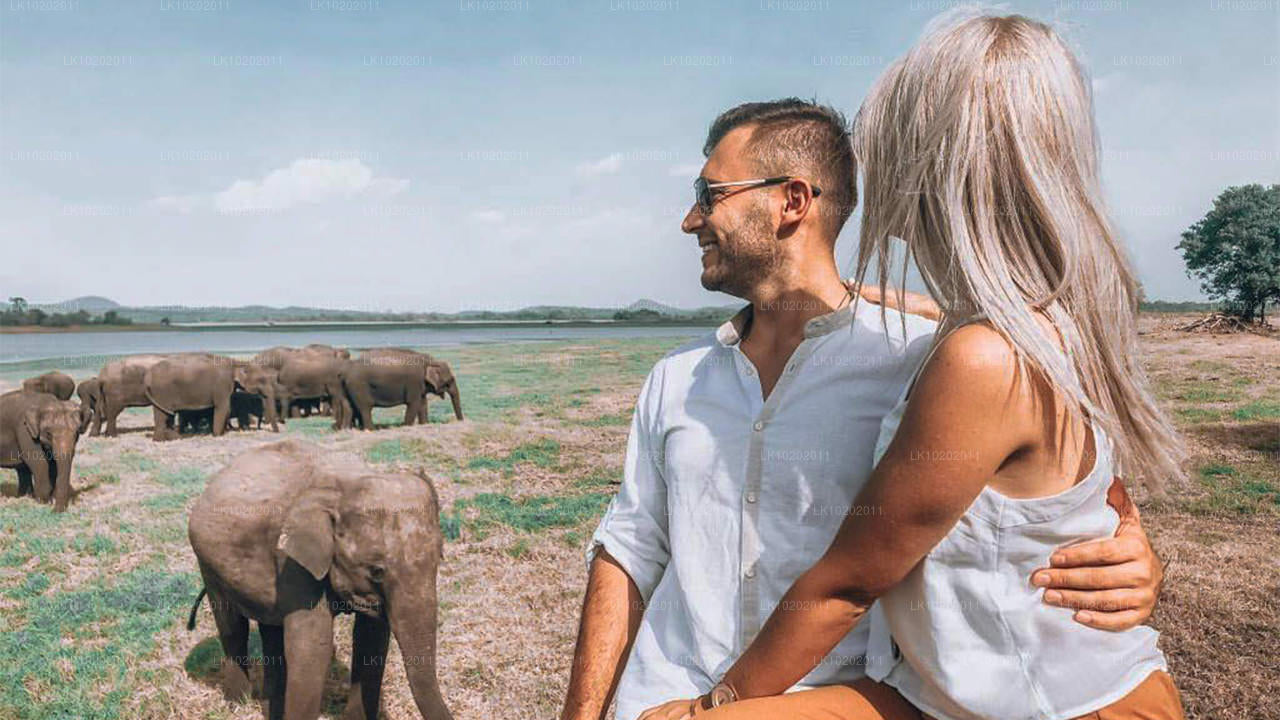 Sigirya i Minneriya z Kolombo (2 dni)