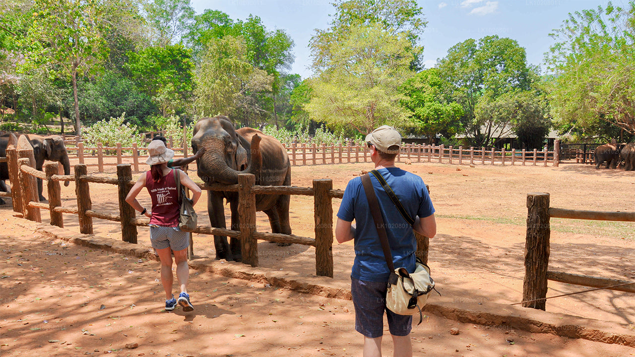 Kultura wzgórz z Kolombo (2 dni)