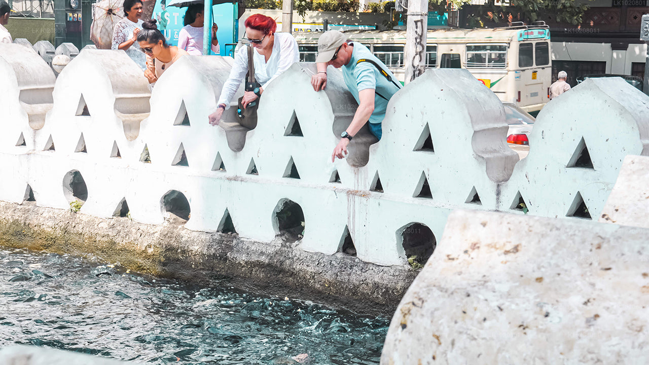 Kultura wzgórz z Kolombo (2 dni)