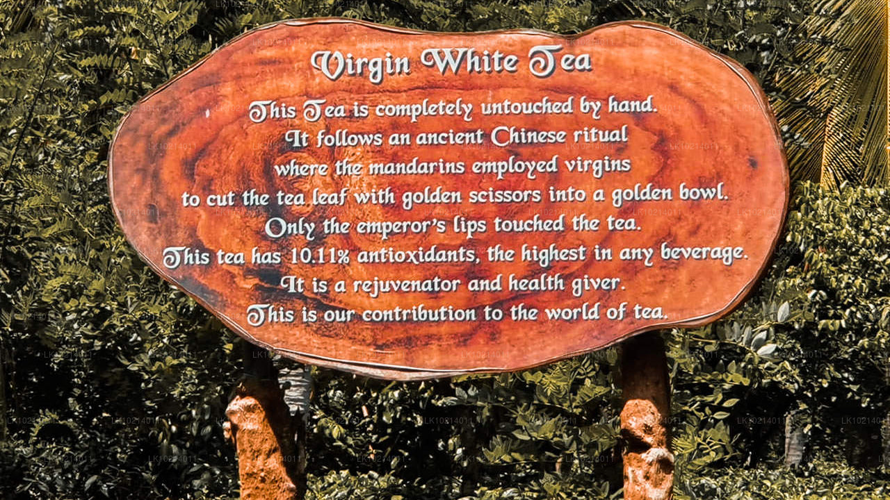 Ahangama i Mirissa z Bentota (2 dni)