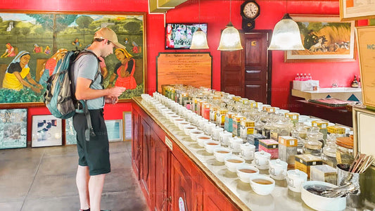 Ahangama i Mirissa z Bentota (2 dni)