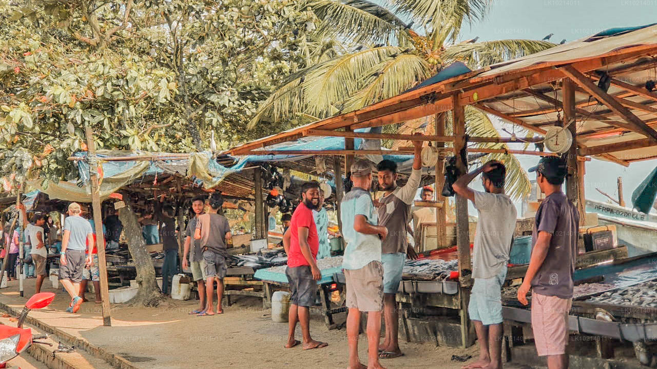 Ahangama i Mirissa z Bentota (2 dni)