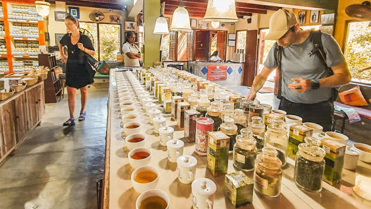 Ahangama i Mirissa z Bentota (2 dni)