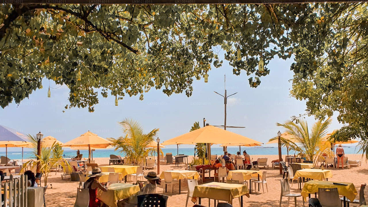 Ahangama i Mirissa z Bentota (2 dni)