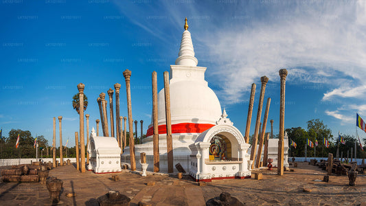 Wycieczka po dzikich cudach i świętych przestrzeniach z Galle (2 dni)