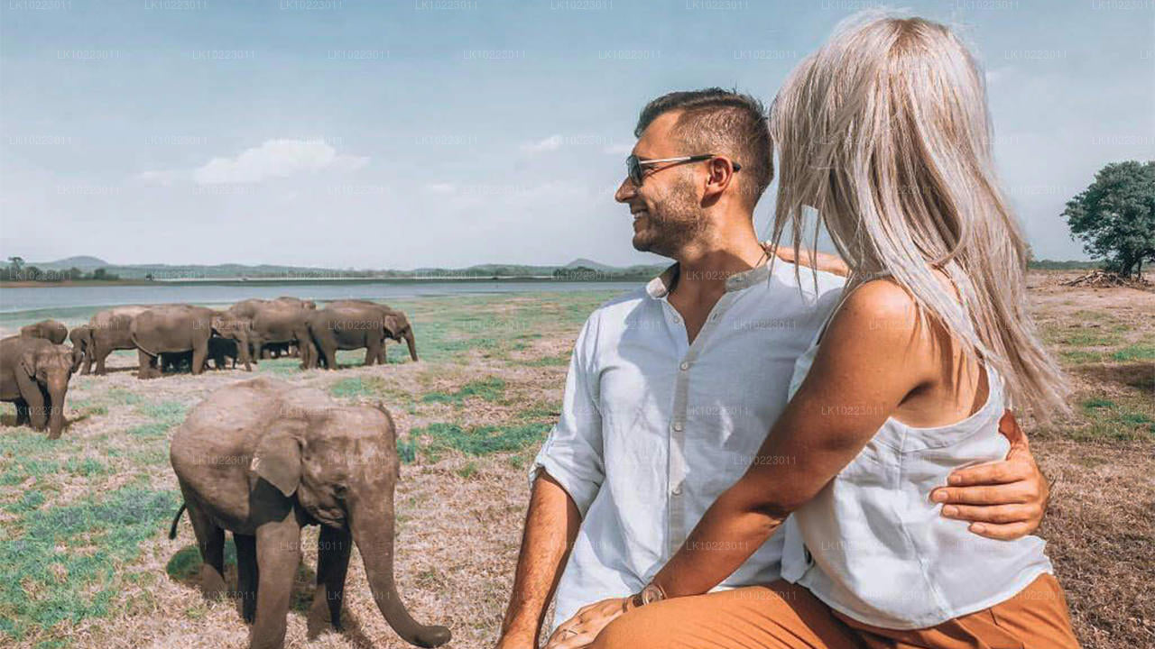 Sigirya i Minneriya z Negombo (2 dni)