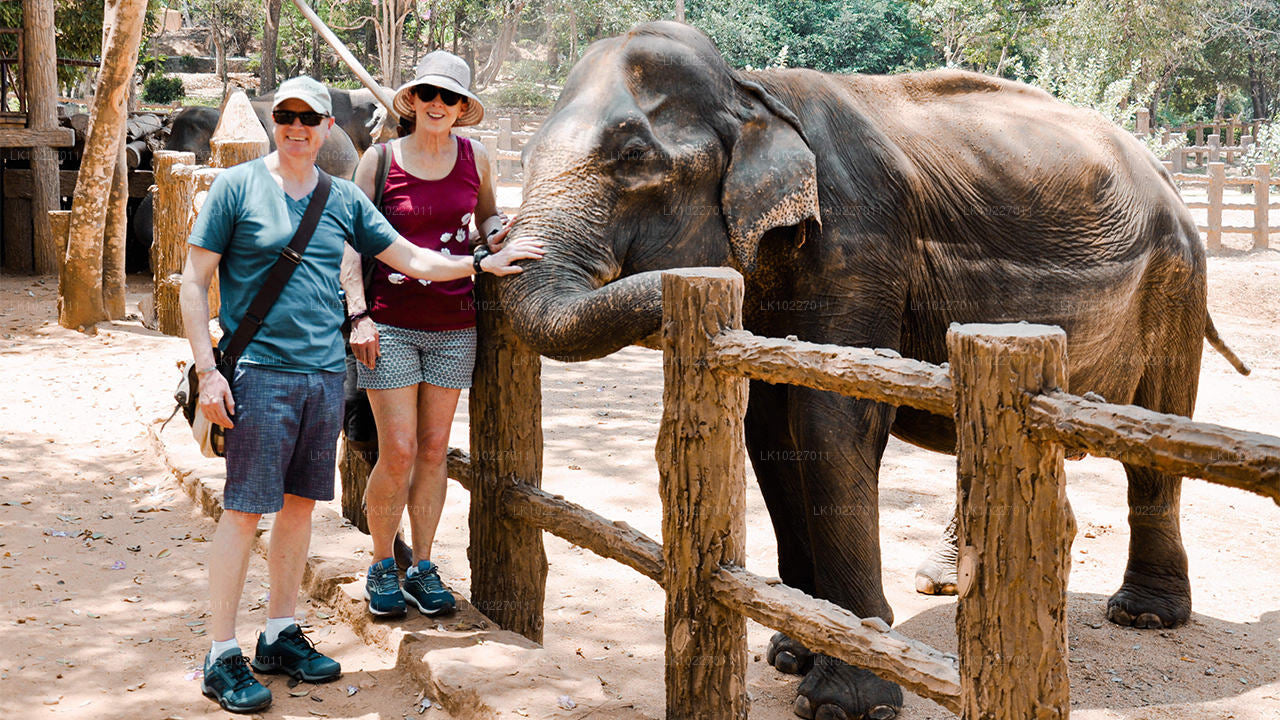 Kultura wzgórz z Negombo (2 dni)