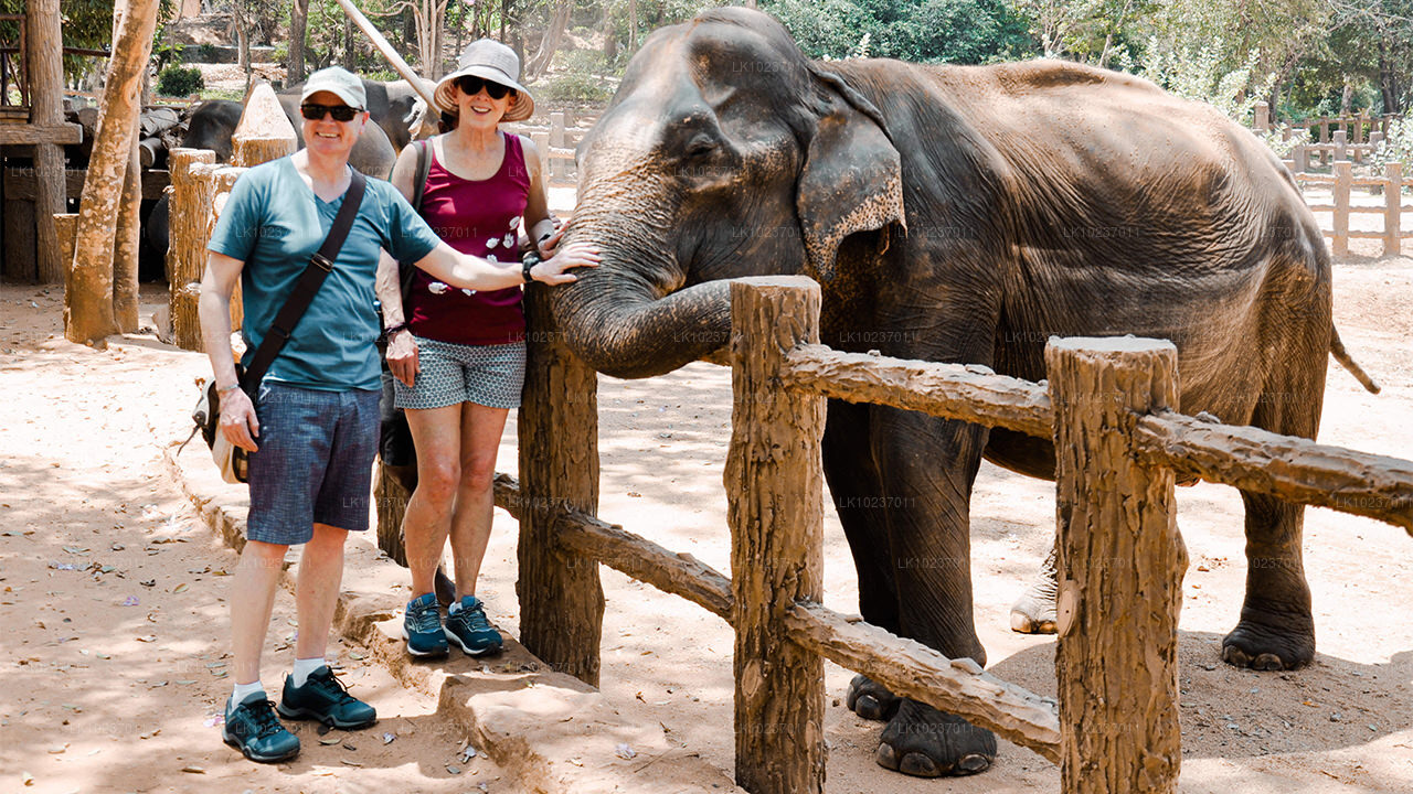 Wycieczka „Kultura wzgórz” z Galle (2 dni)