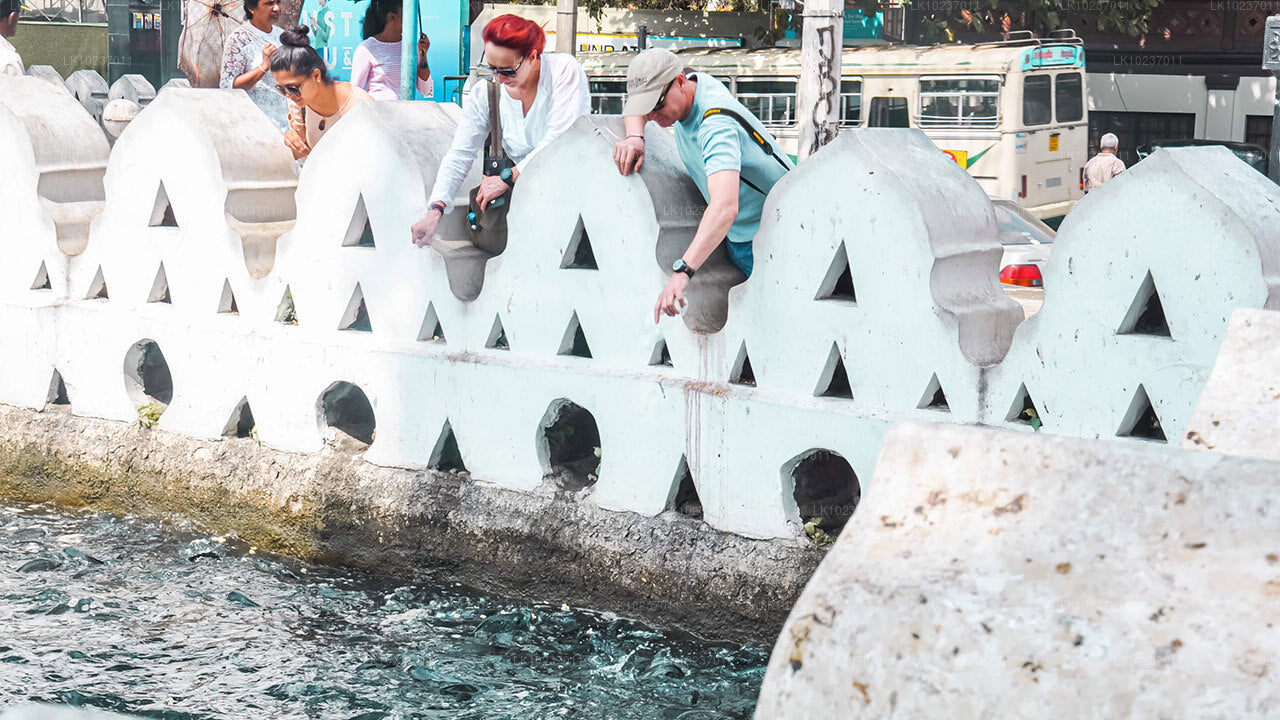 Wycieczka „Kultura wzgórz” z Galle (2 dni)