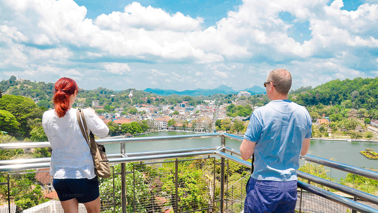 Wycieczka „Kultura wzgórz” z Galle (2 dni)