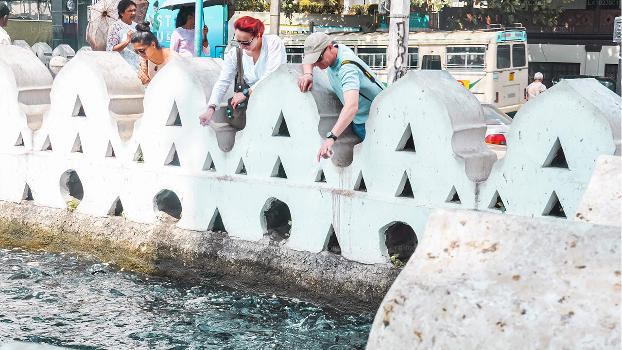 Wycieczka „Kultura wzgórz” z Hikkaduwy (2 dni)