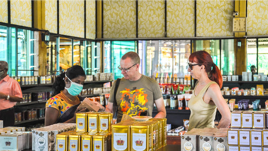 Mgliste szlaki górskie z Galle (2 dni)