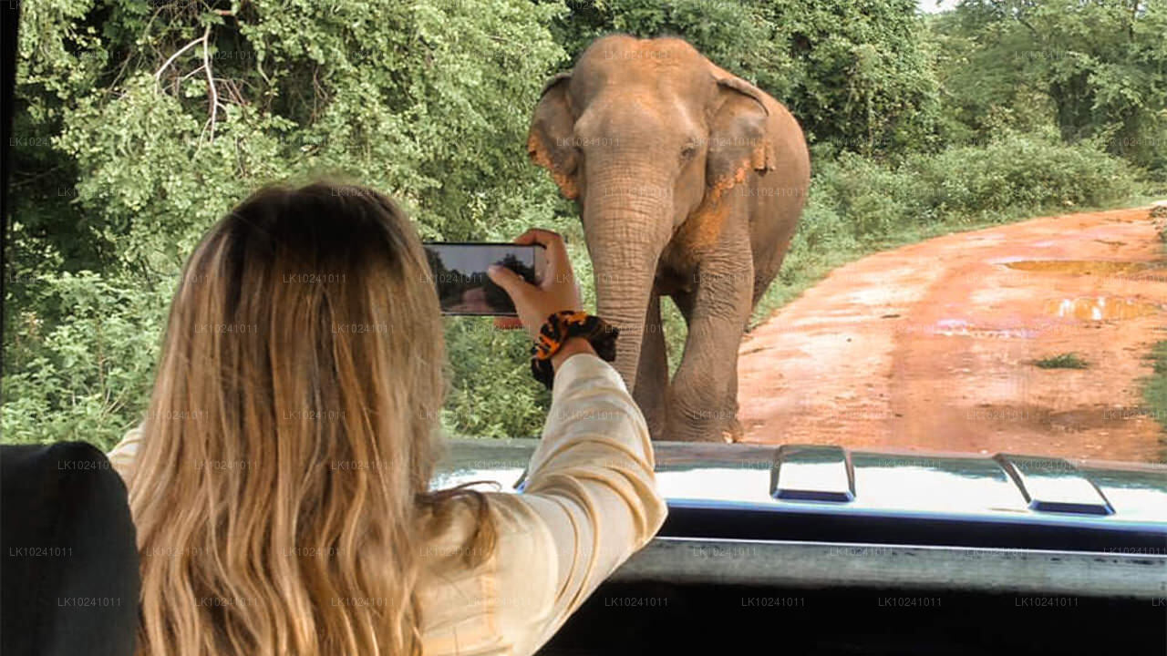 Udawalawe z Hikkaduwa (2 dni)