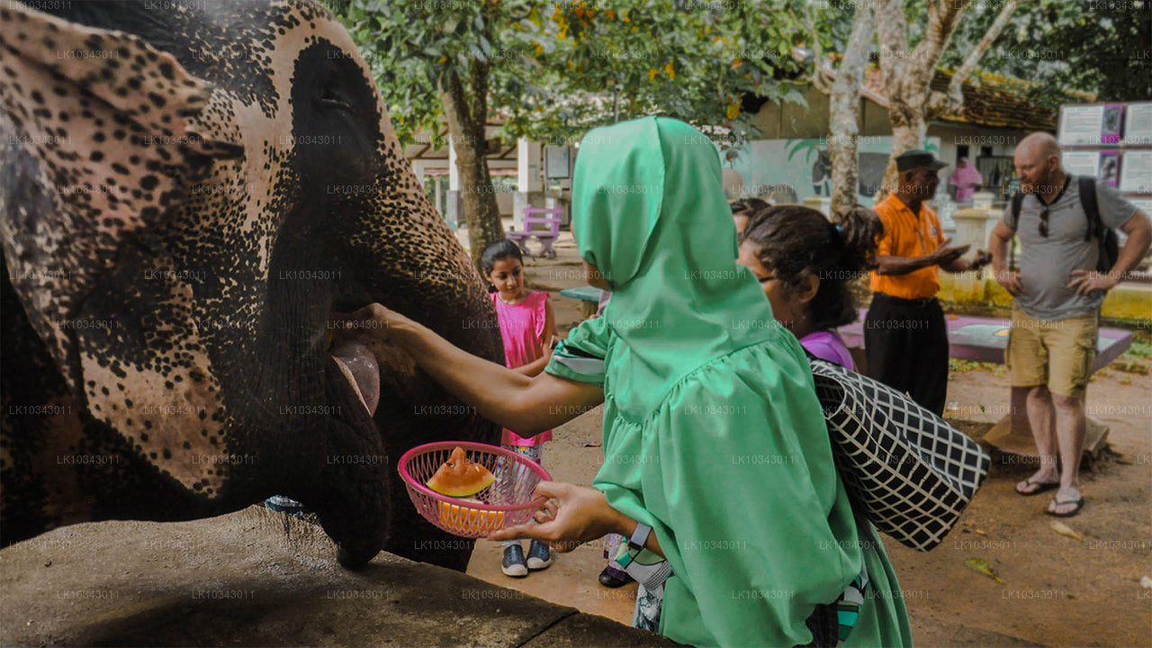 Wyspa Wonder (3 dni)