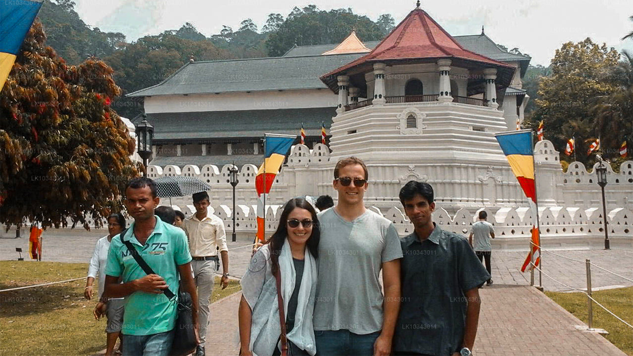 Wyspa Wonder (3 dni)