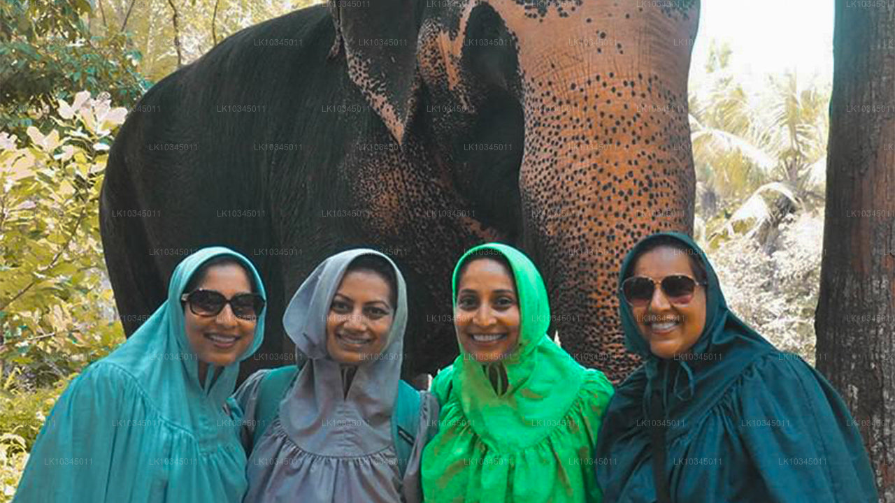 Ostatnie Królestwo Sri Lanki z Kolombo (3 dni)