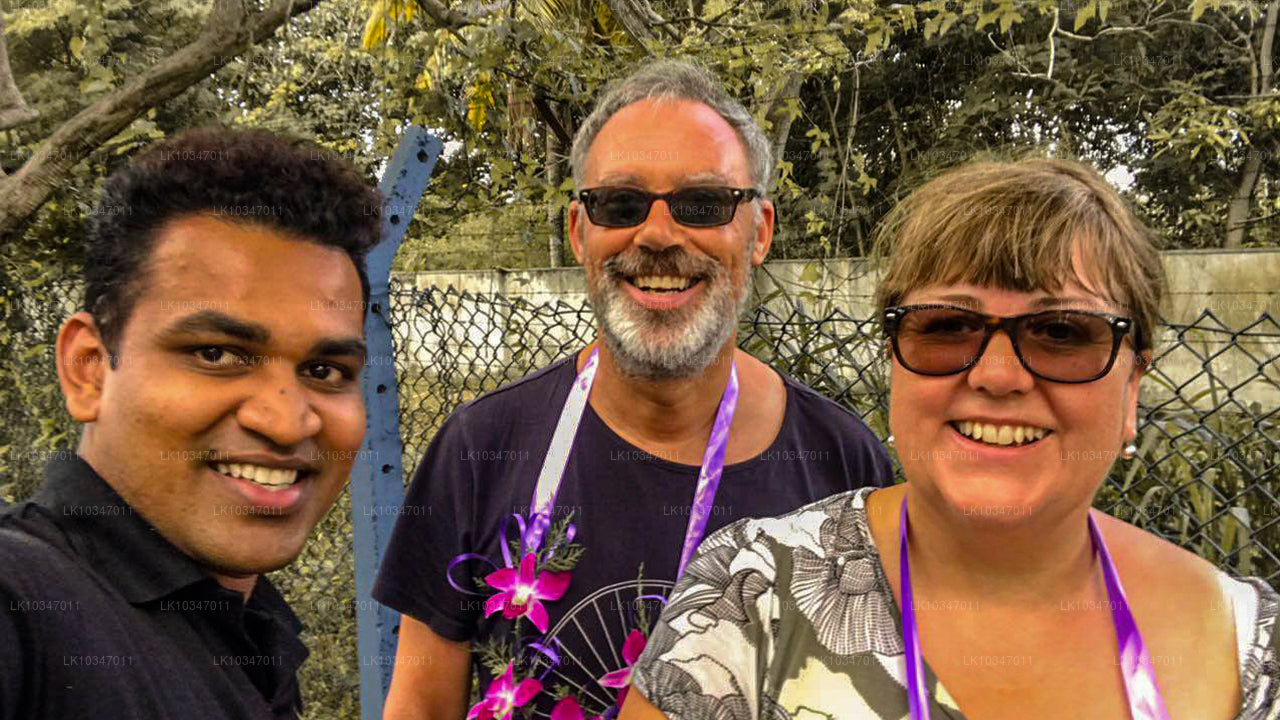 Święte miasto Anuradhapura z Kolombo (3 dni)