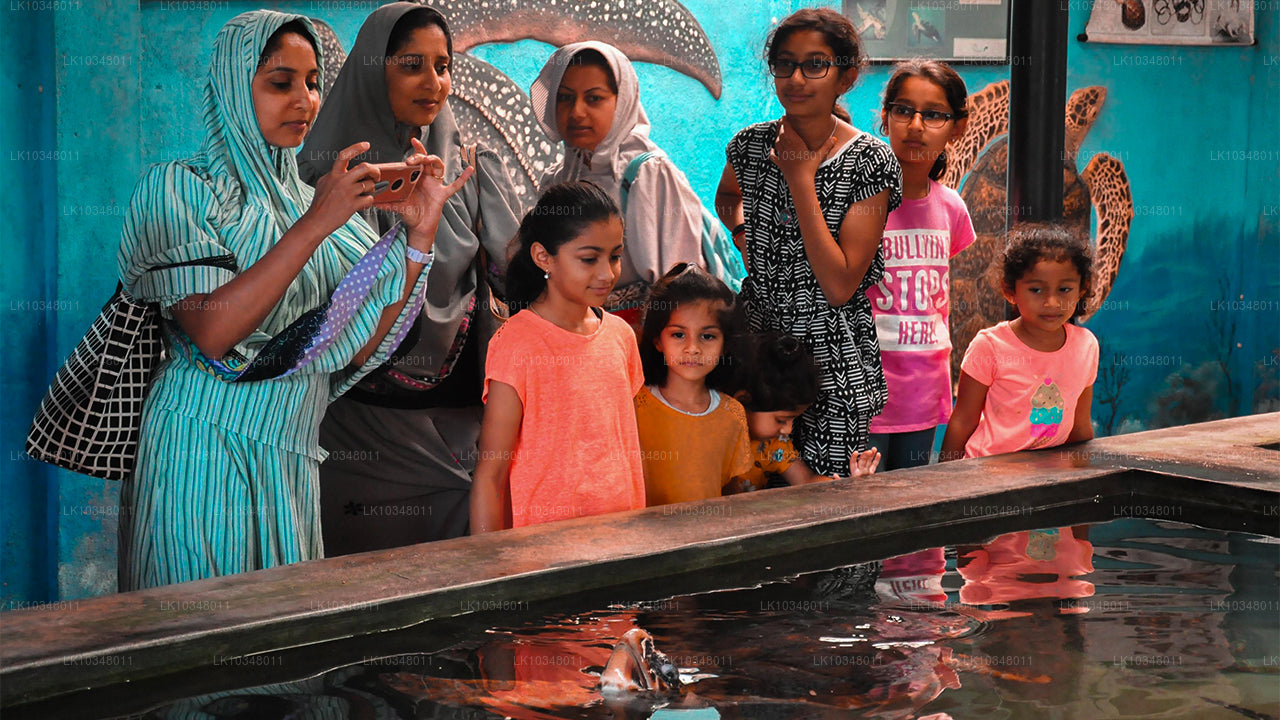 Przytulny Sri Lanka (3 dni)