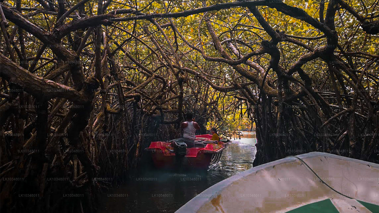 Przytulny Sri Lanka (3 dni)