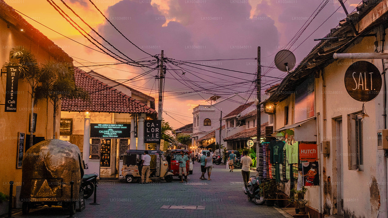 Przytulny Sri Lanka (3 dni)