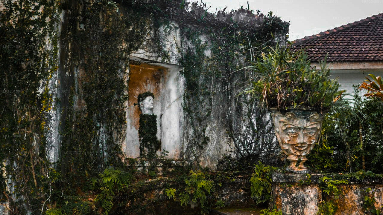 Przytulny Sri Lanka (3 dni)