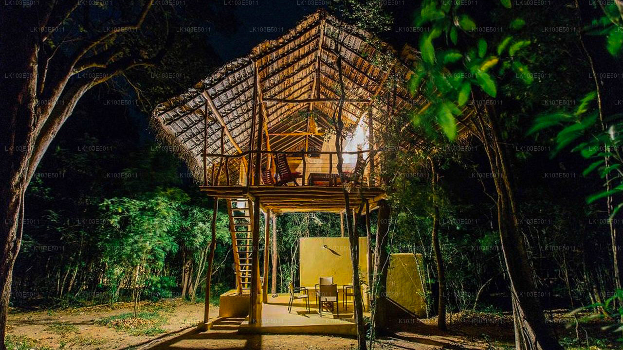 Ekologiczne wycieczki po Sri Lance (3 dni)