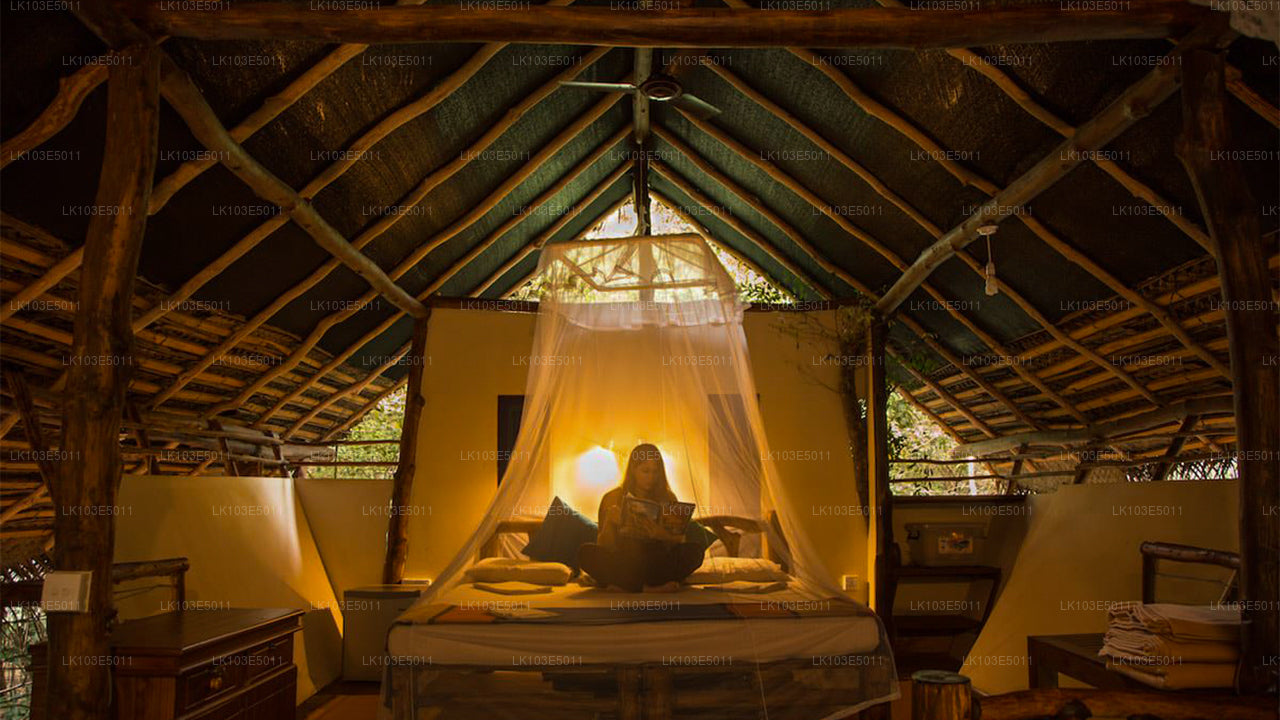 Ekologiczne wycieczki po Sri Lance (3 dni)