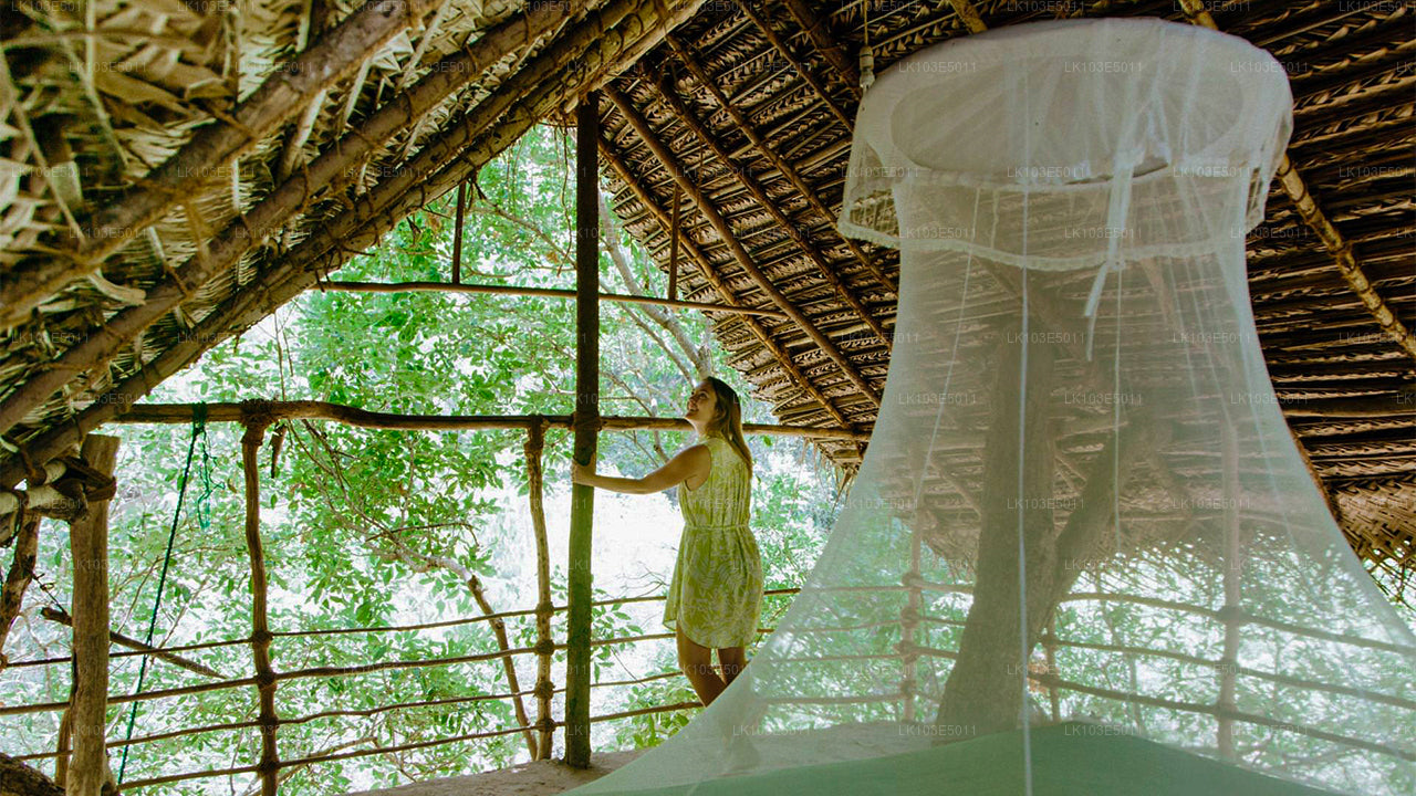 Ekologiczne wycieczki po Sri Lance (3 dni)