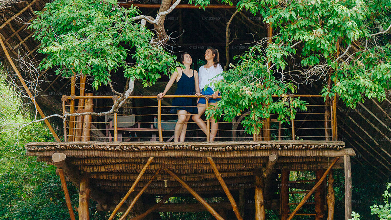 Ekologiczne wycieczki po Sri Lance (3 dni)