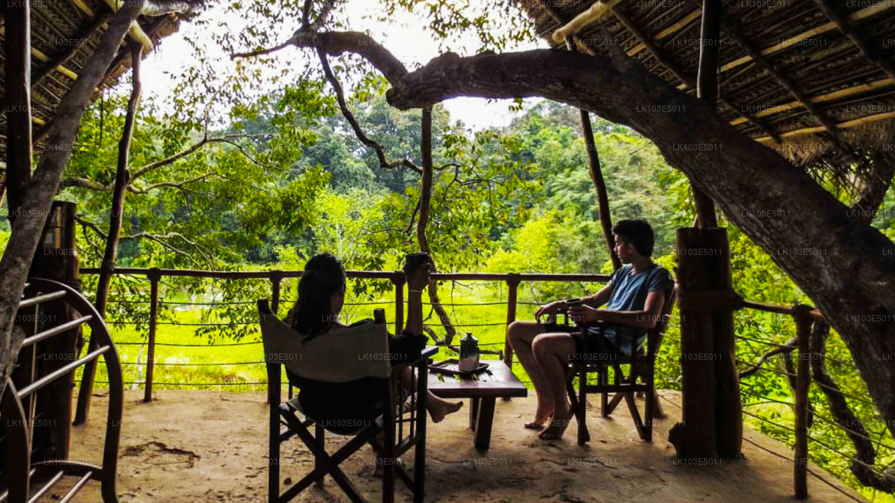 Ekologiczne wycieczki po Sri Lance (3 dni)