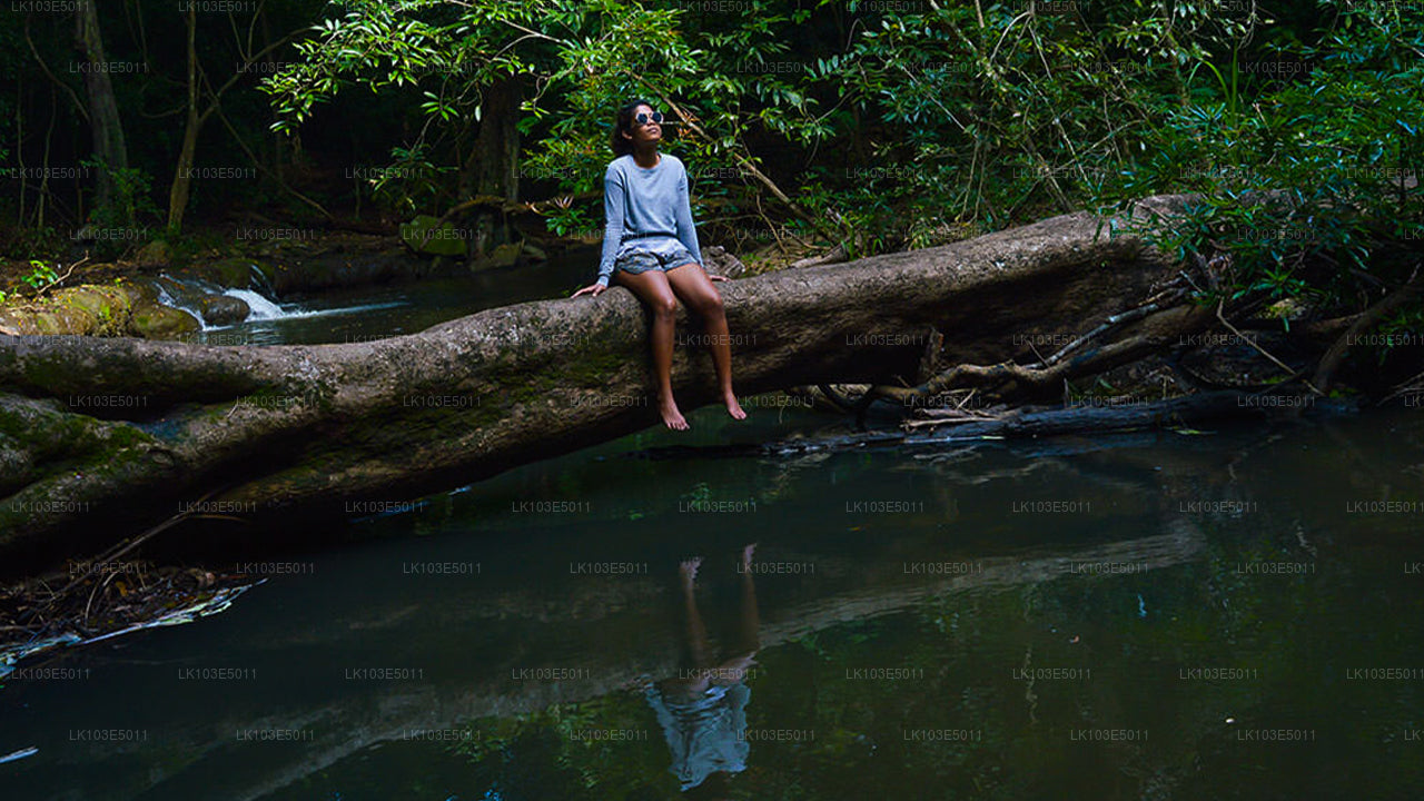 Ekologiczne wycieczki po Sri Lance (3 dni)