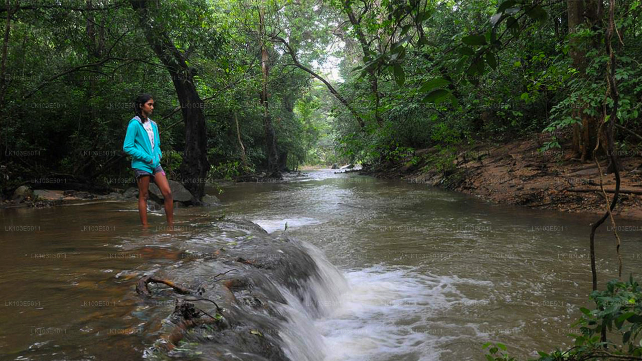 Ekologiczne wycieczki po Sri Lance (3 dni)