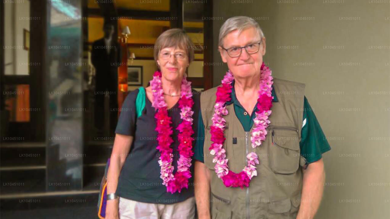 Wokół Lanki z Colombo (4 dni)