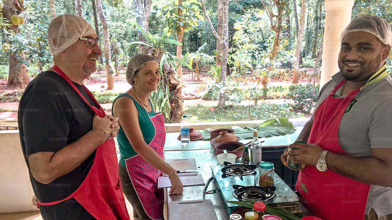 Wokół Lanki z Colombo (4 dni)