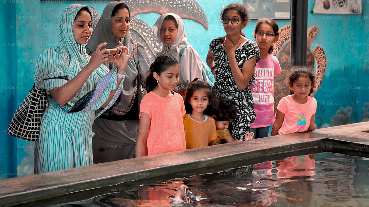 Wokół Lanki z Colombo (4 dni)