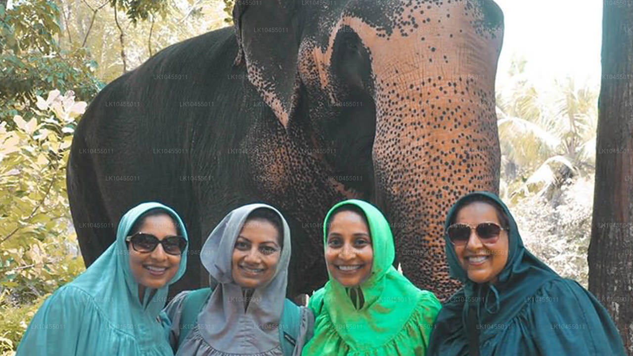 Wycieczka po Aboryginach na Sri Lance (4 dni)