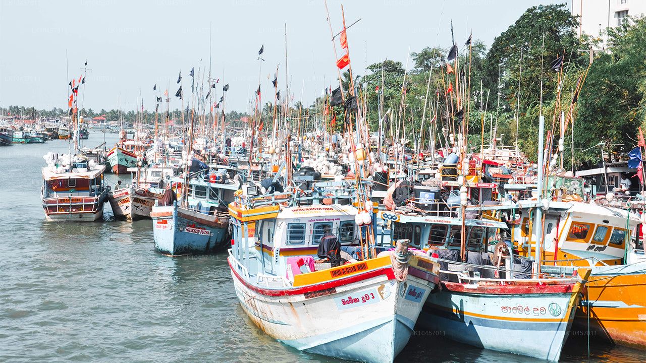 Plaża i miasto (4 dni)