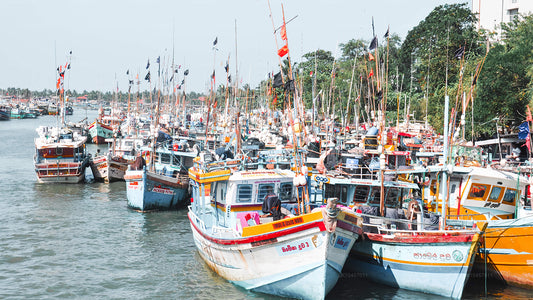 Plaża i miasto (4 dni)