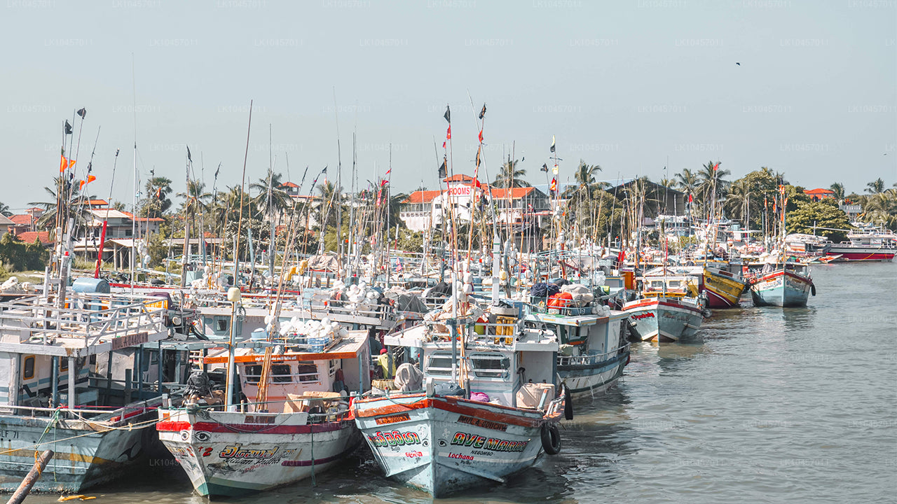 Plaża i miasto (4 dni)