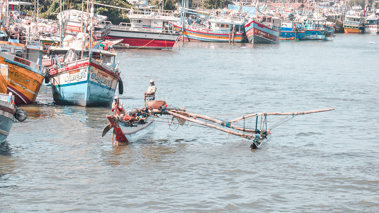 Plaża i miasto (4 dni)