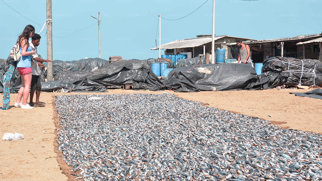 Plaża i miasto (4 dni)