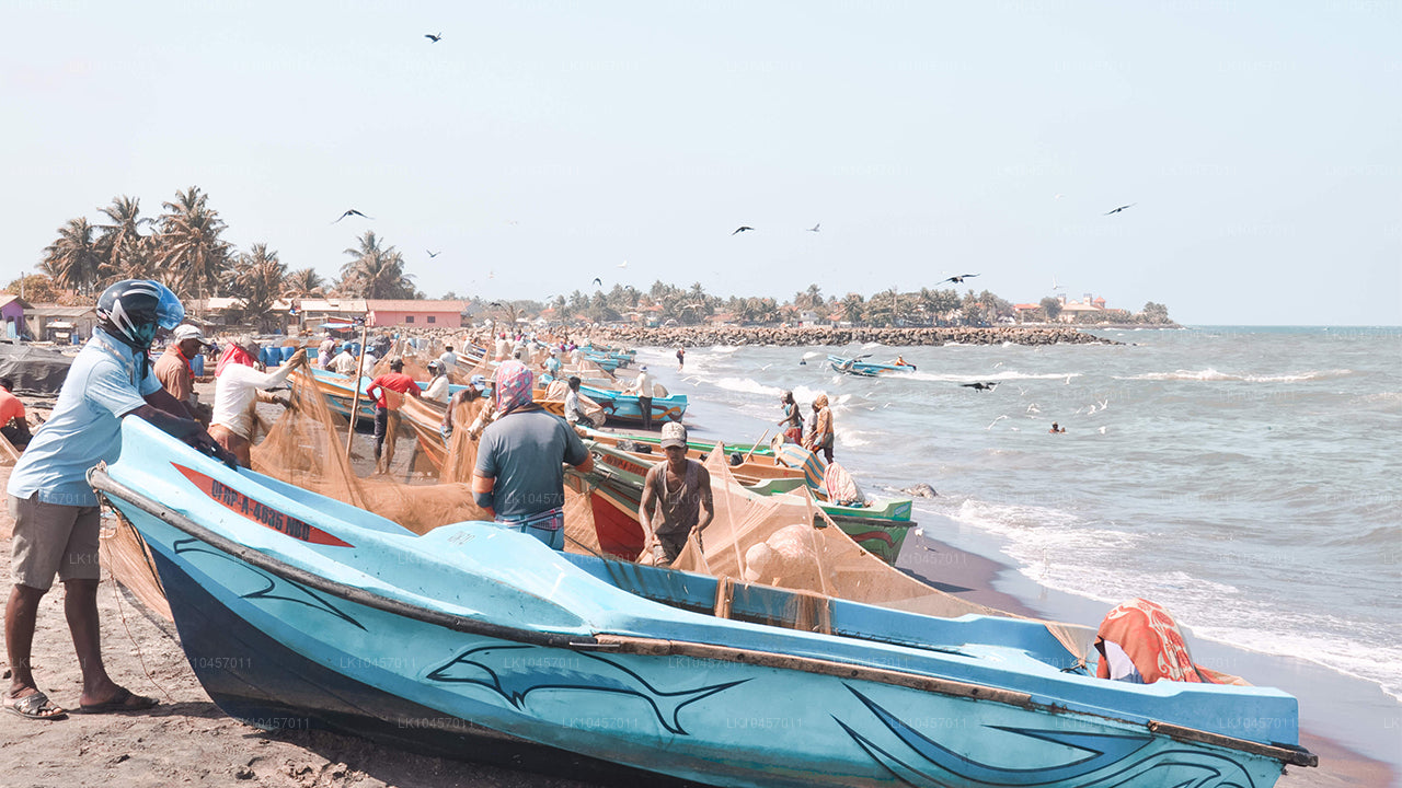 Plaża i miasto (4 dni)