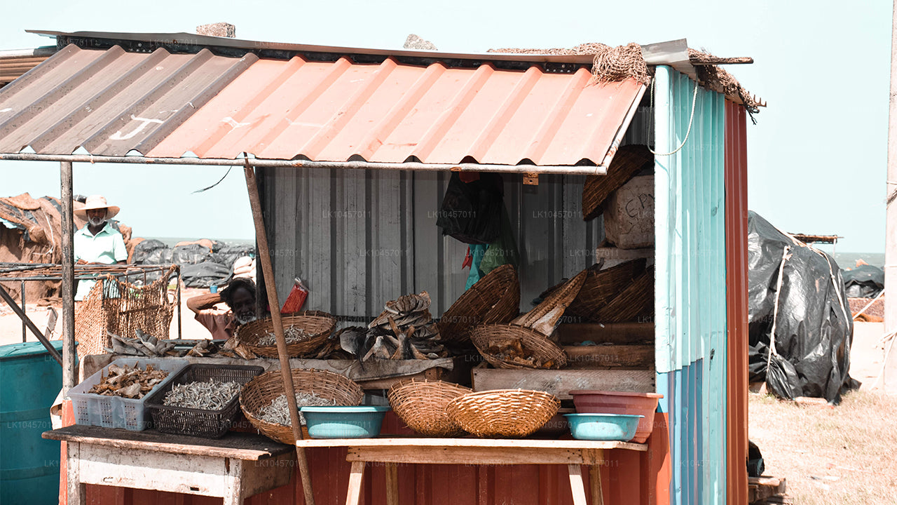 Plaża i miasto (4 dni)